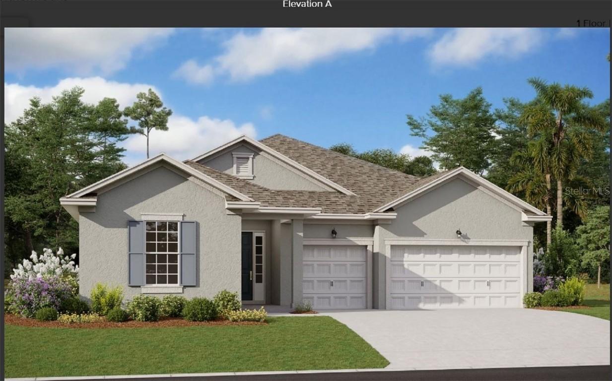 9544 Brave Buck Ave., Land O Lakes, FL 34638
