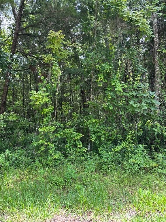 Sw 49 Court Ct., Webster, FL 33597