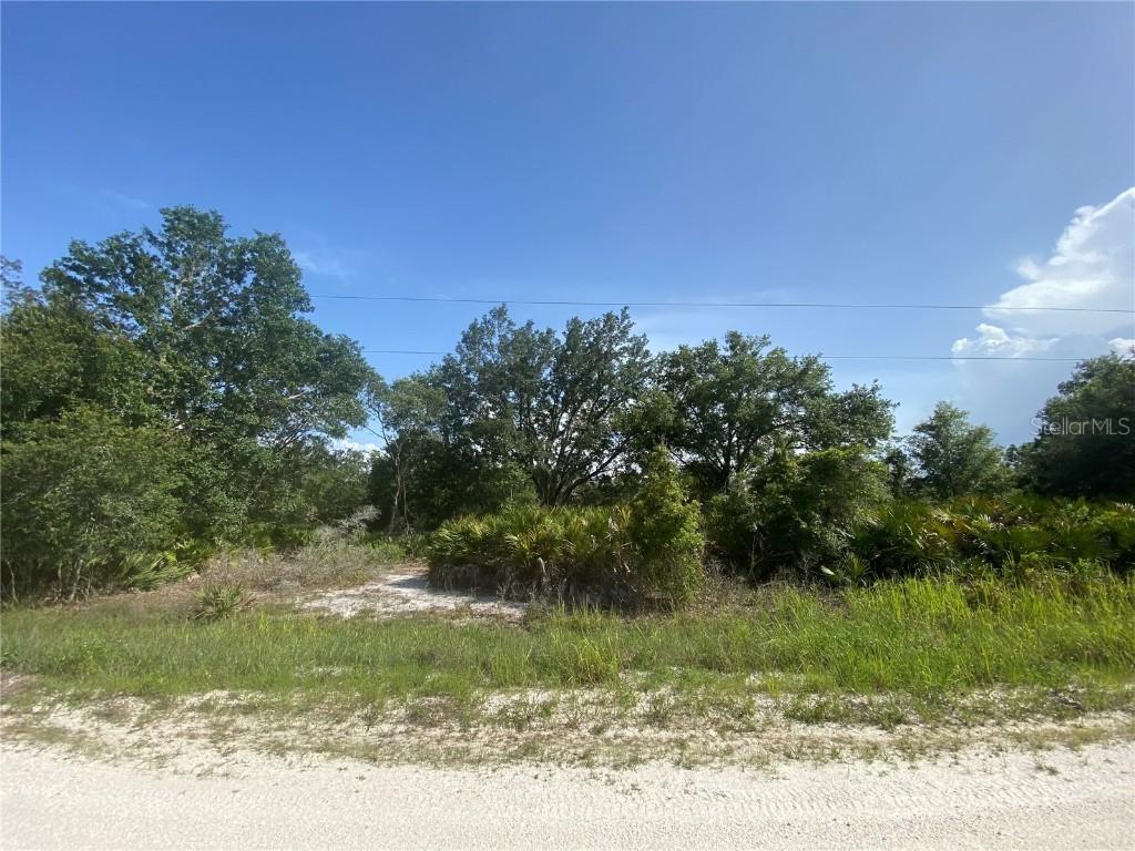 2511 W Tarkenton Rd., Avon Park, FL 33825