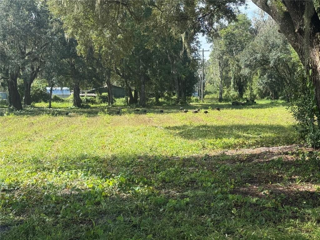 Se 124th Ave, Webster, FL 33597