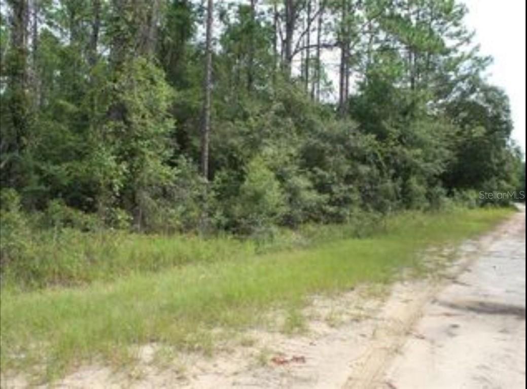 10381 NE 81st St., Bronson, FL 32621