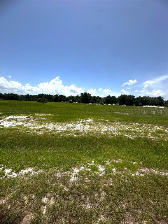 38793 Ranch Gate Blvd., Umatilla, FL 32784