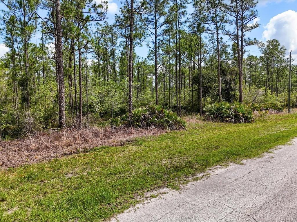 LOT 62 Meadow Lark Blvd., Lake Wales, FL 33898
