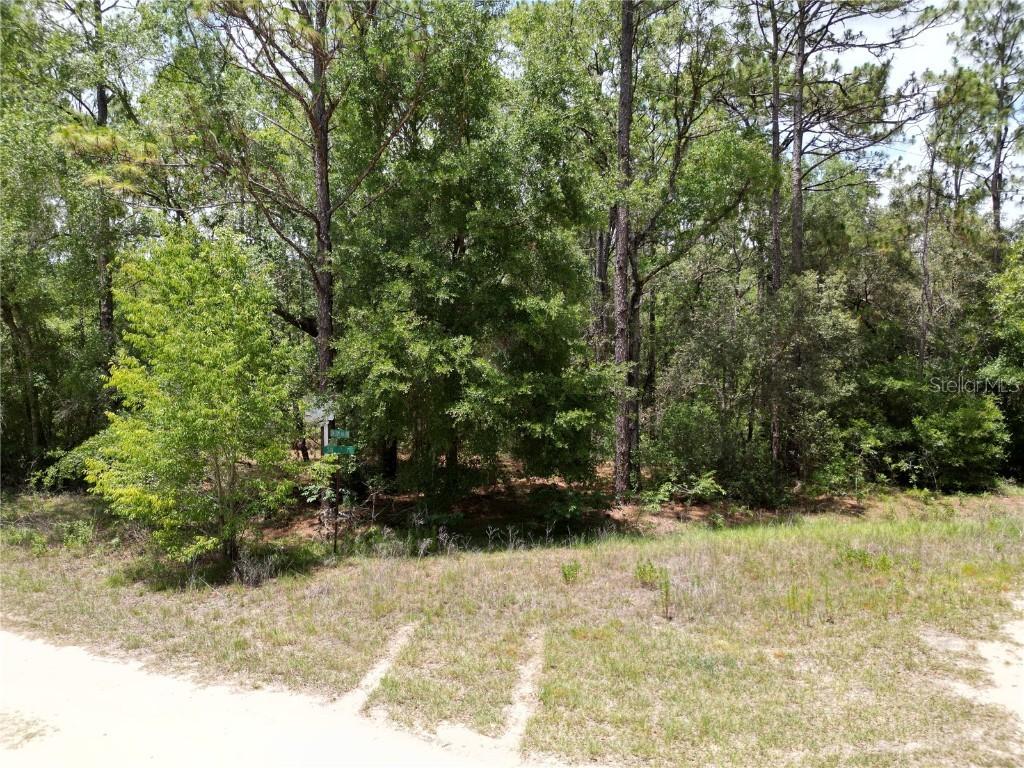 0000 SW 159th Ave Rd., Ocala, FL 34481