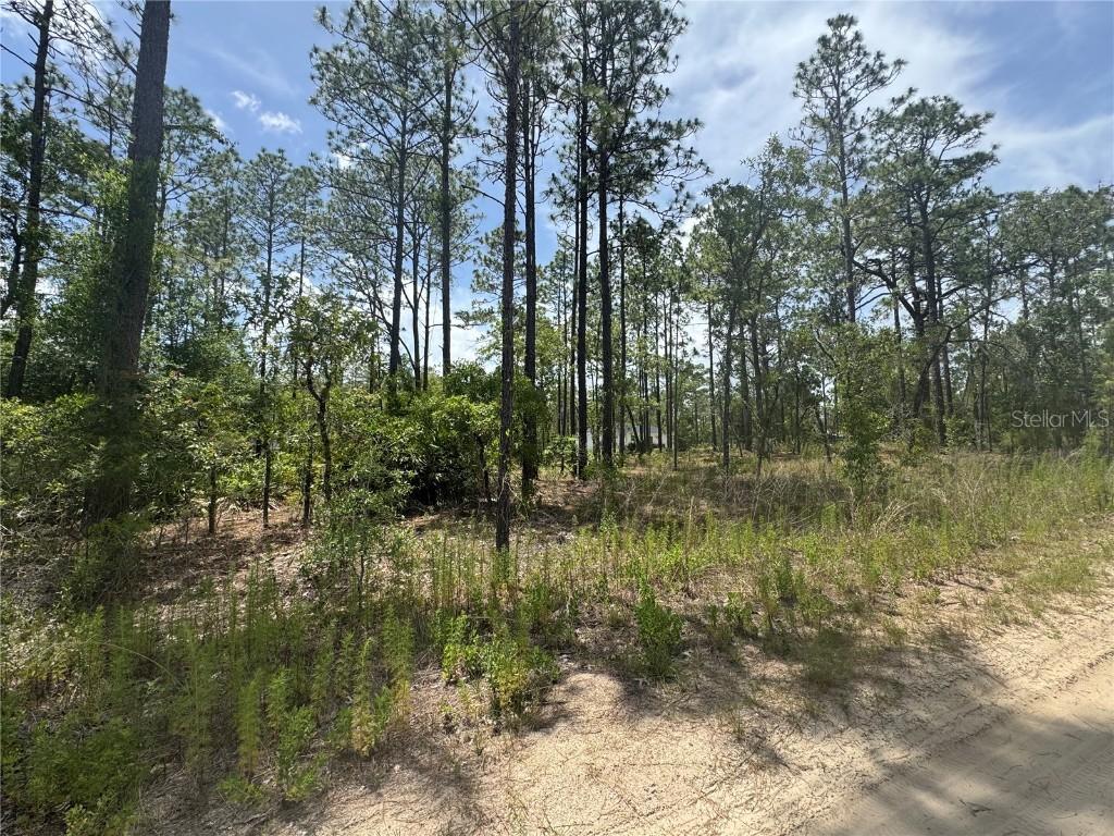 0000 SW 157th Ave., Ocala, FL 34481