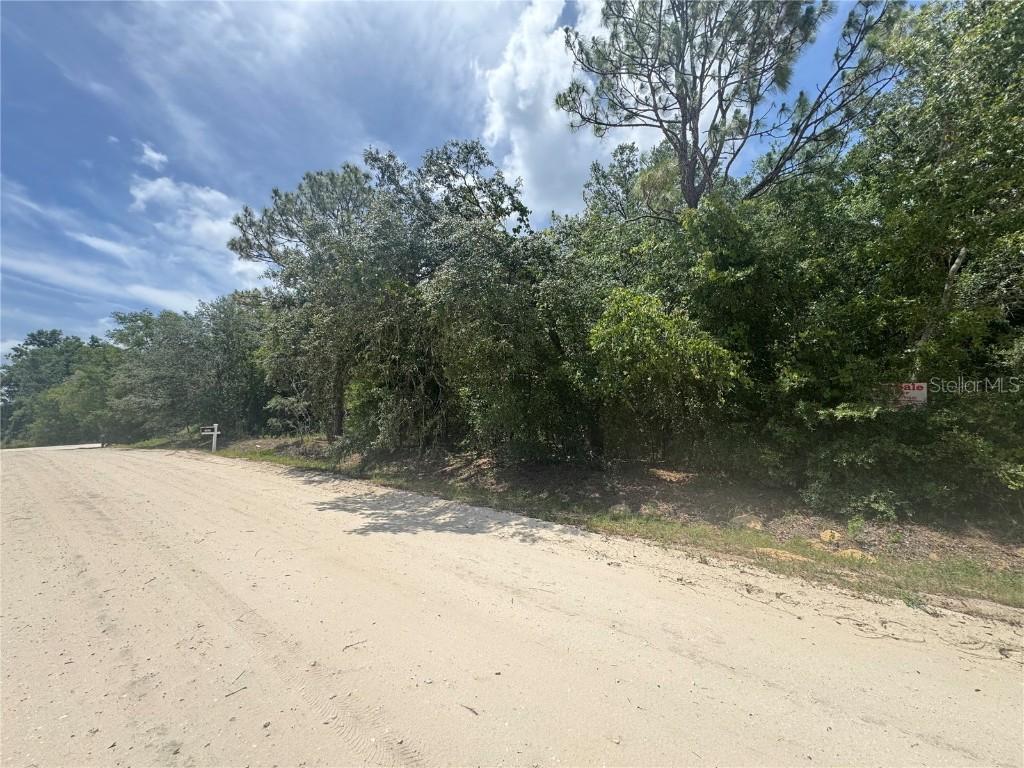 0000 SW 16th Pl., Ocala, FL 34481
