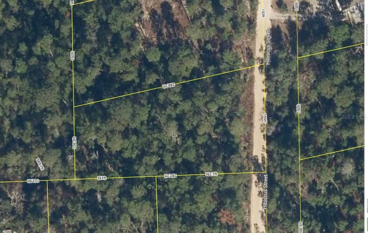 107 Hibiscus St., Pomona Park, FL 32181