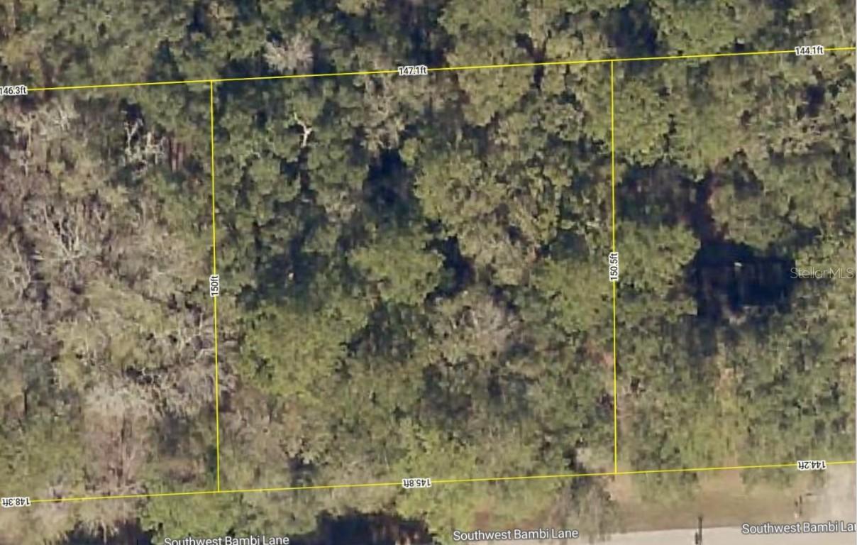 237 SW Bambi Ln., Lake City, FL 32025