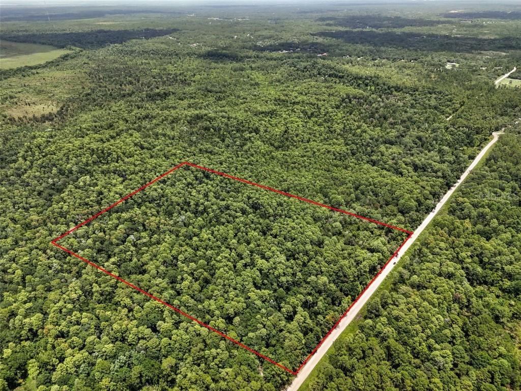 Maggie Jones Rd., Paisley, FL 32767