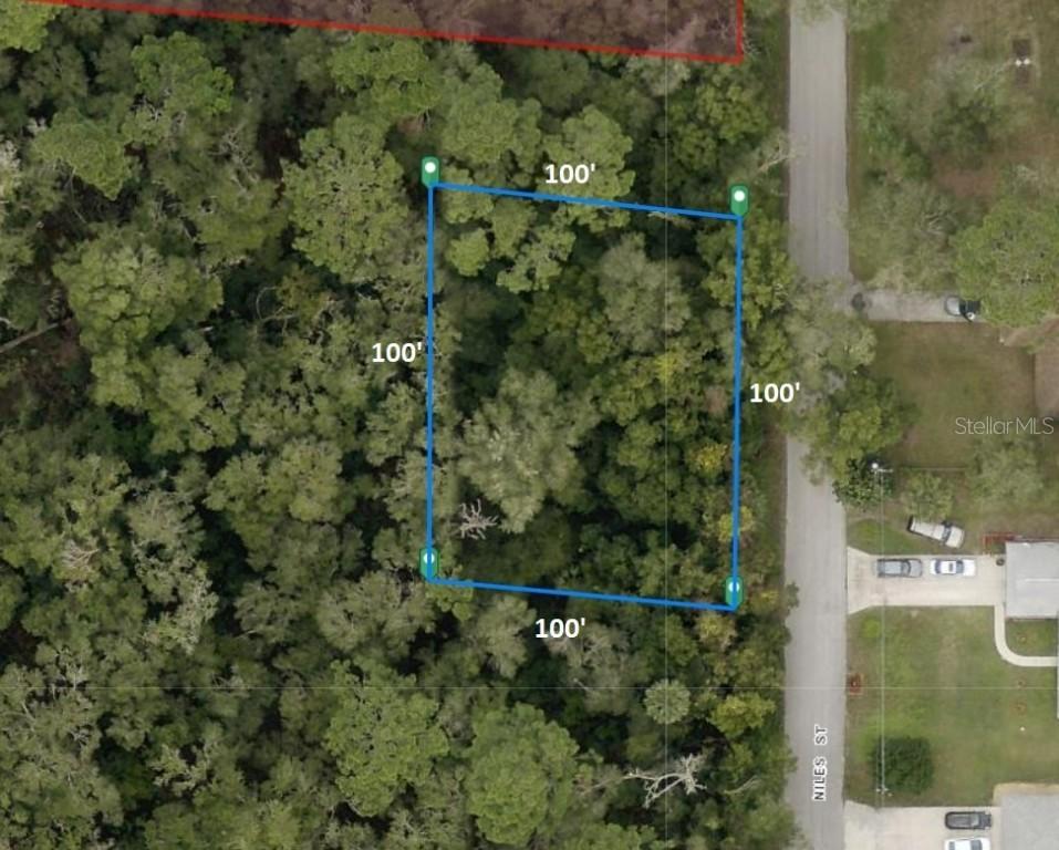31633 Niles St., Sorrento, FL 32776