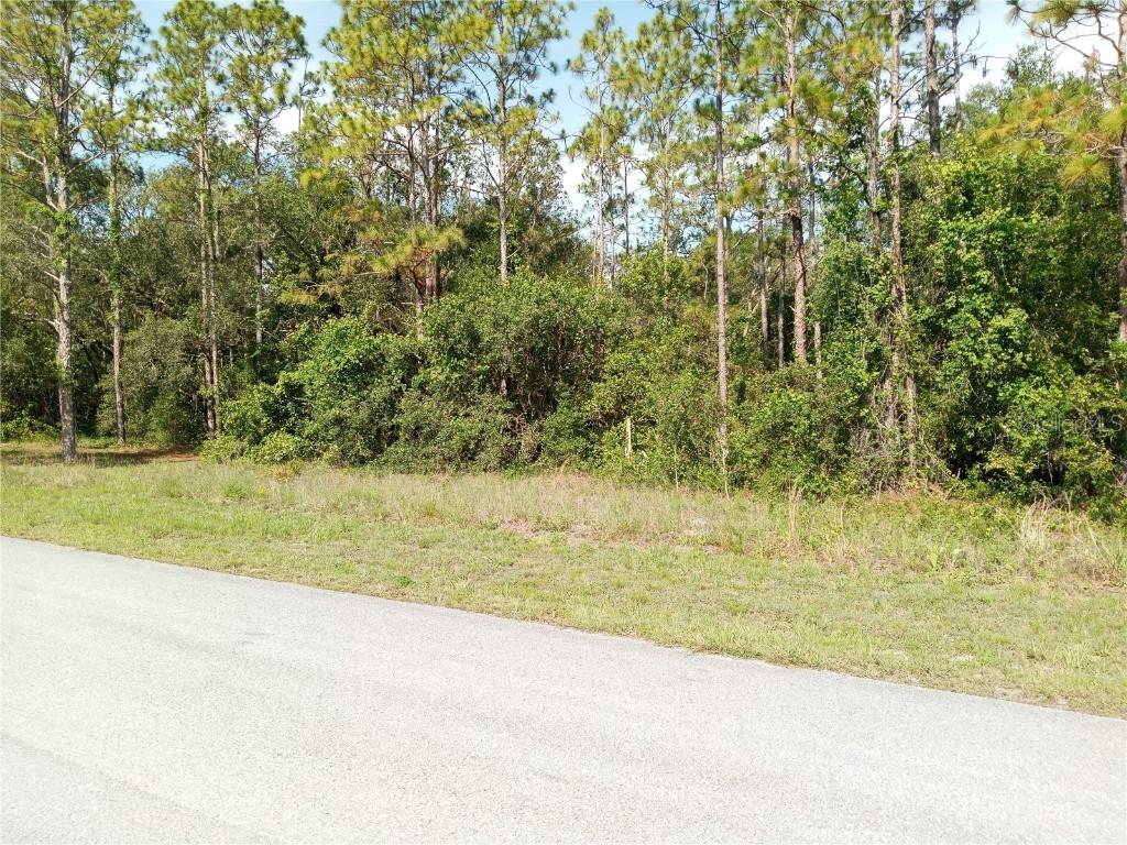 6431 Norman St., Webster, FL 33597