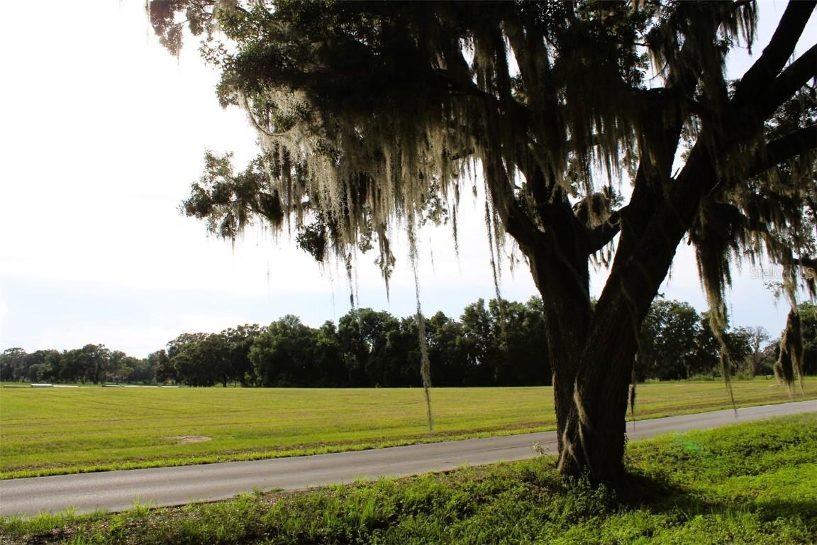 Cross Country Blvd., Altoona, FL 32702