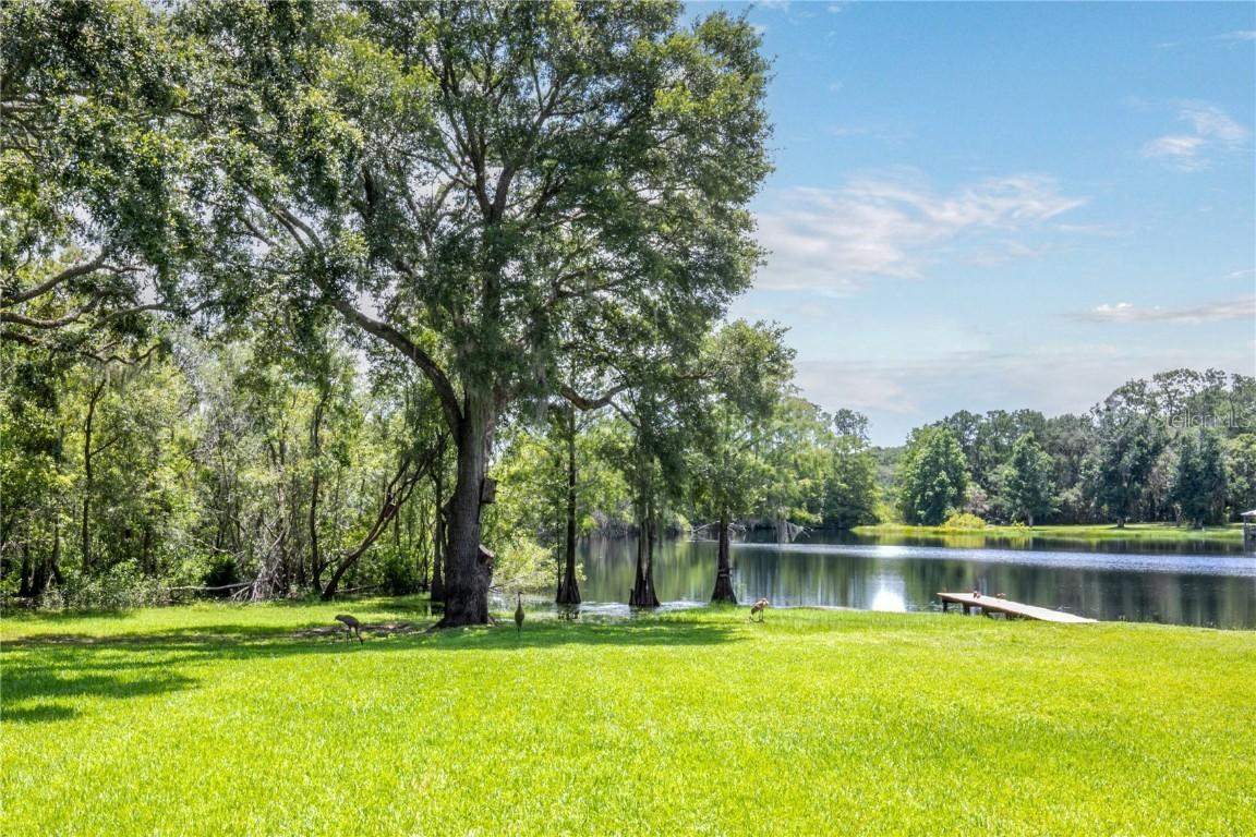 132 Pond Rd., Mount Dora, FL 32757