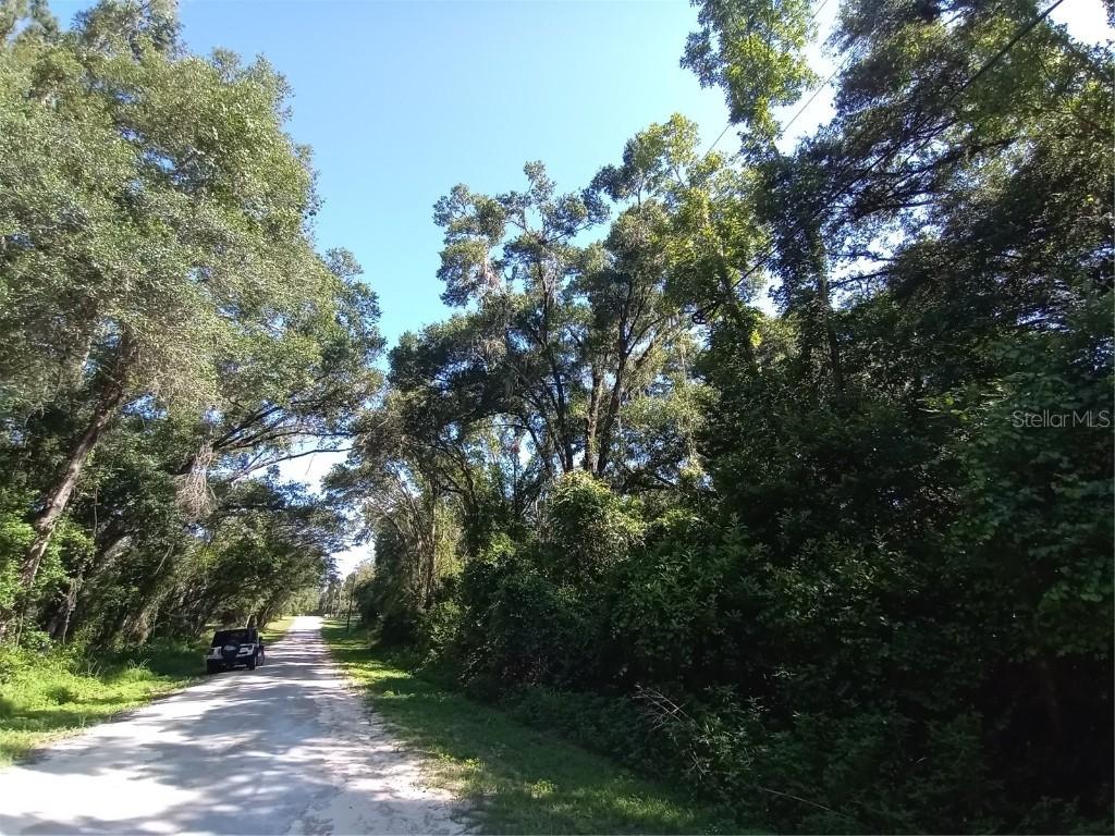 7092 Elaine Dr., Webster, FL 33597