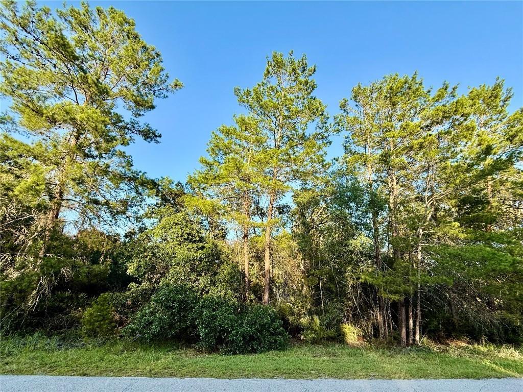 LOT 6 Aspen St., Eustis, FL 32736