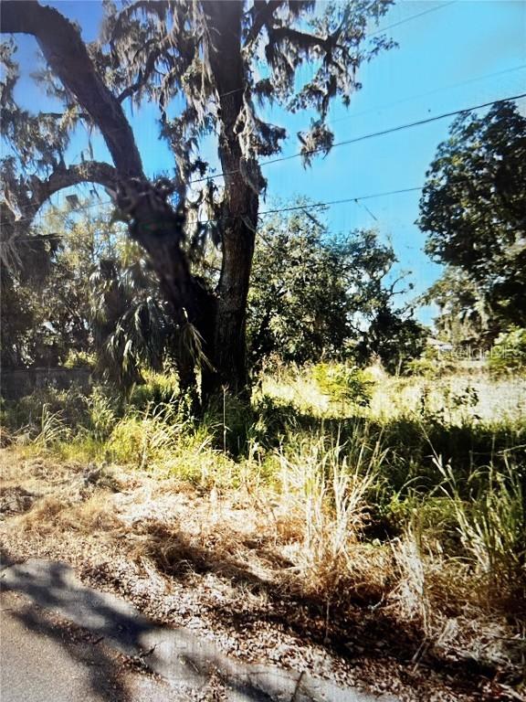 655 S 6th Ave., Bartow, FL 33830