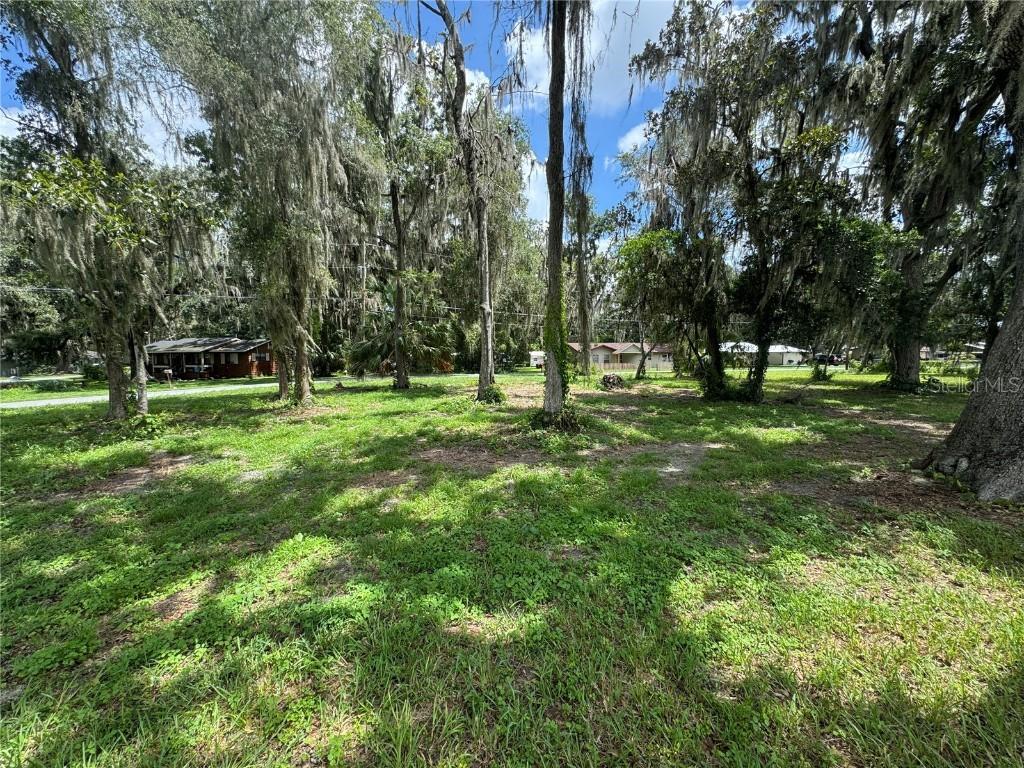 Cr 455 & Cr 454, Lake Panasoffkee, FL 33538