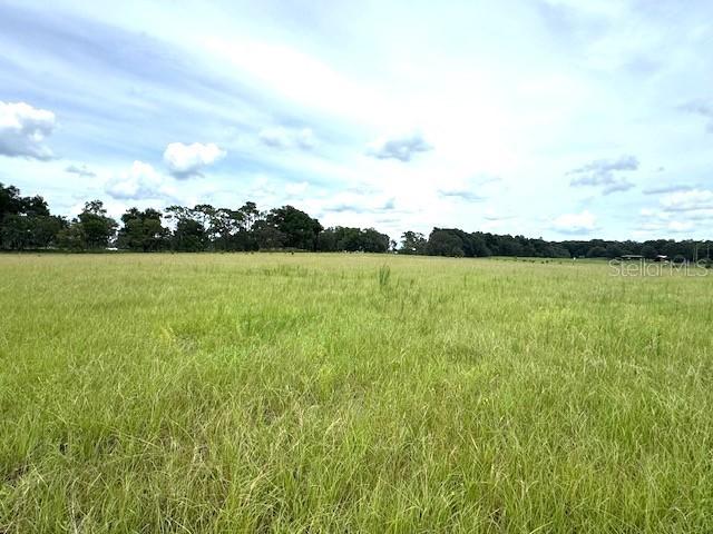 Cr 635, Bushnell, FL 33513
