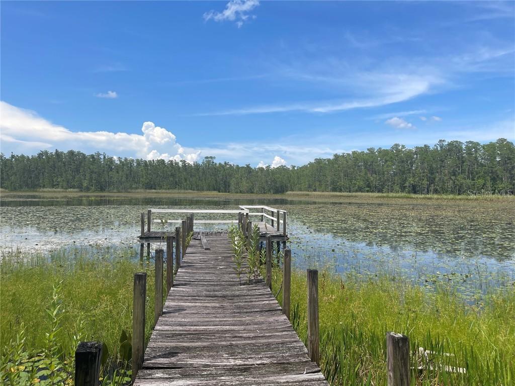 7752 Adonijah Way, Clermont, FL 34714
