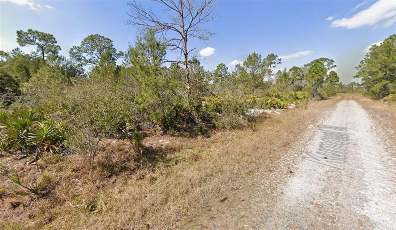 1256 Kumquat St., Lake Placid, FL 33852