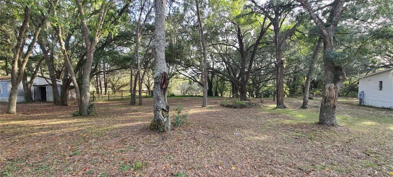 25150 SE 172nd St., Umatilla, FL 32784