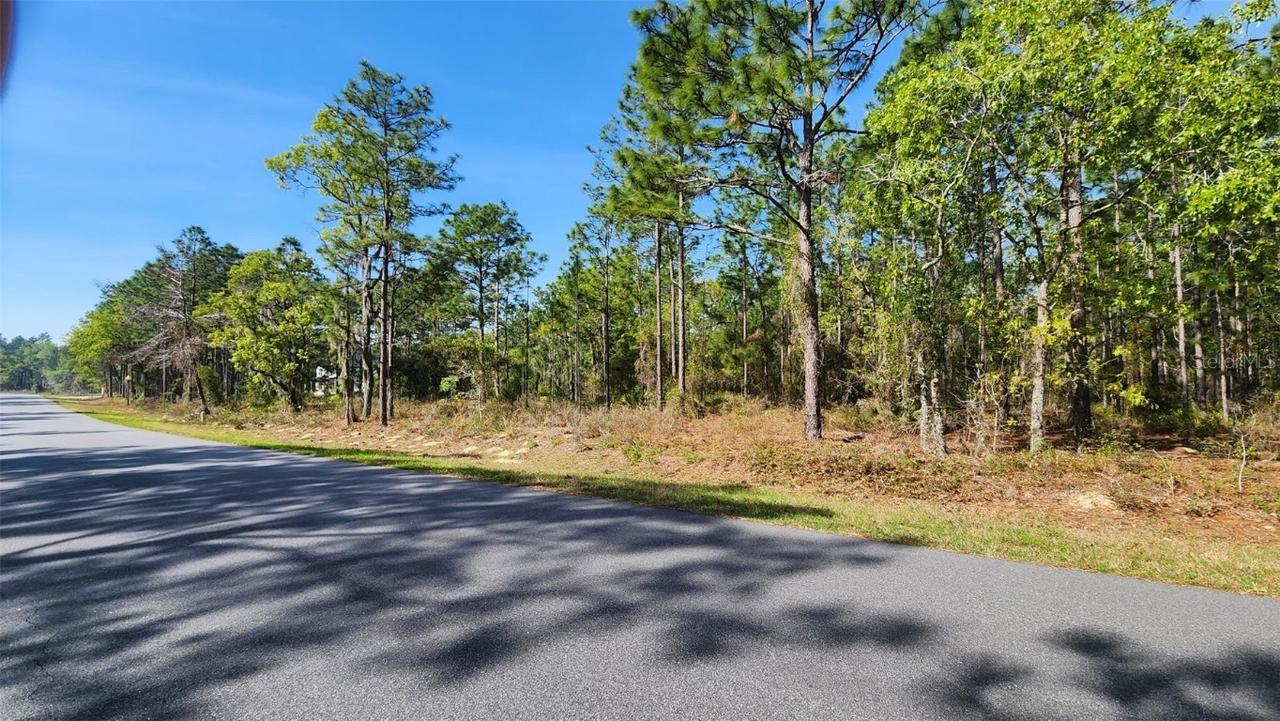 TBD Cr 243b, Wildwood, FL 34785