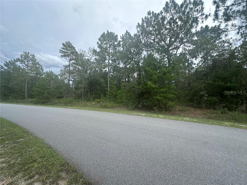 2223 Cr 243f, Wildwood, FL 34785
