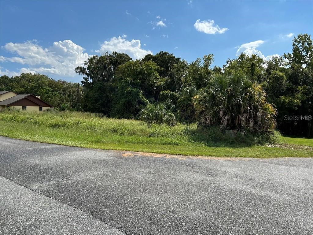 Redtree Dr., Leesburg, FL 34748