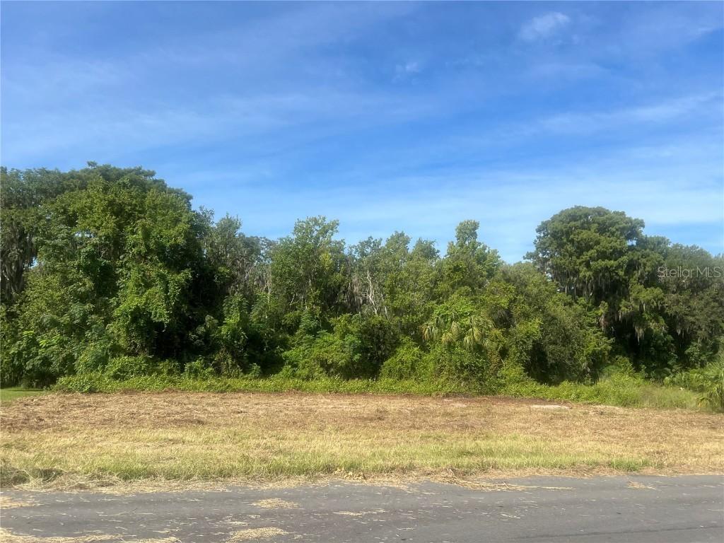 Redtree Dr., Leesburg, FL 34748