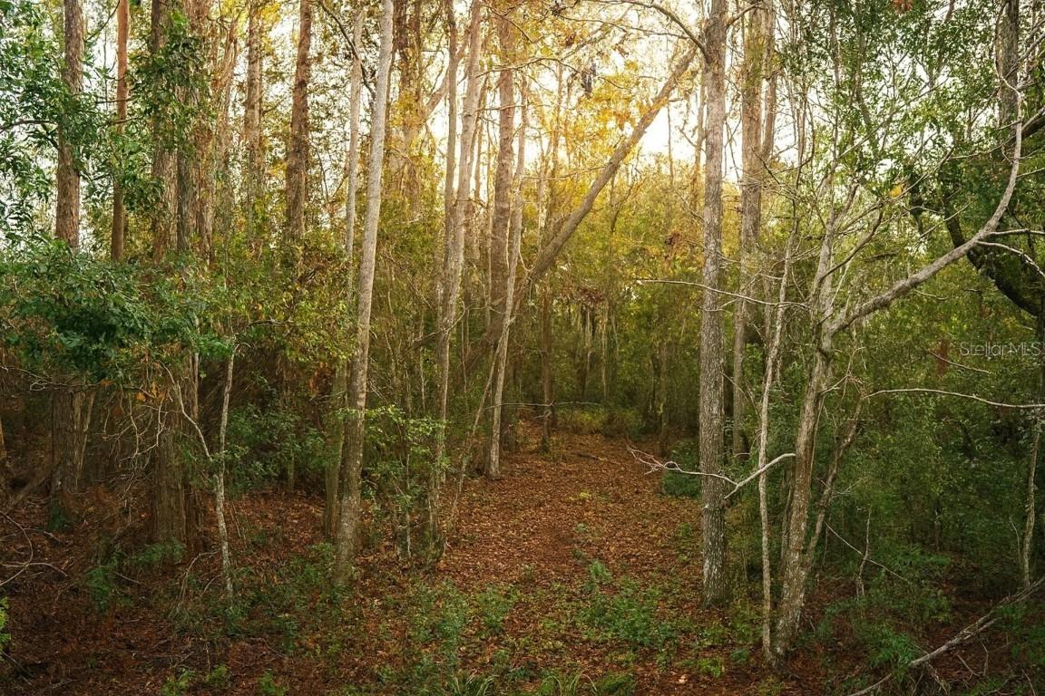 TBD Cr-48, Yalaha, FL 34797