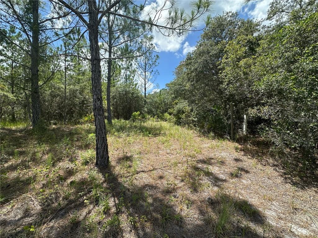 796 Fisher Rd., Ocklawaha, FL 32179