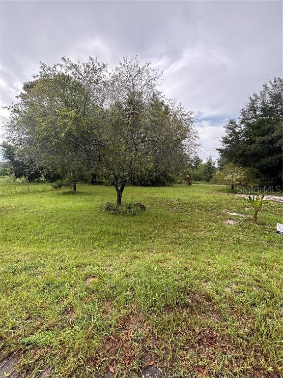 0 Sequoia Drive Trace, Ocklawaha, FL 32179