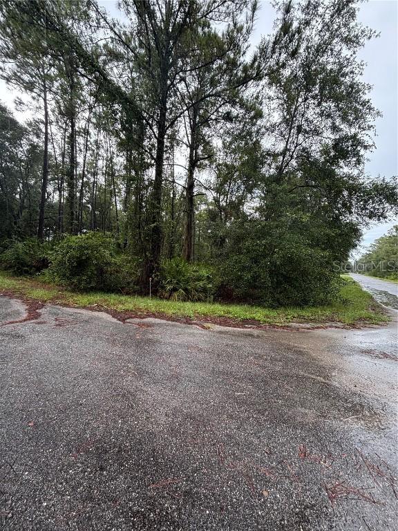 Sequoia Dr. Trail, Ocklawaha, FL 32179