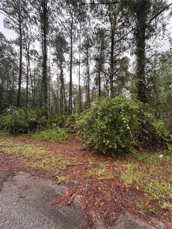 0 Sequoia Drive Trail, Ocklawaha, FL 32179