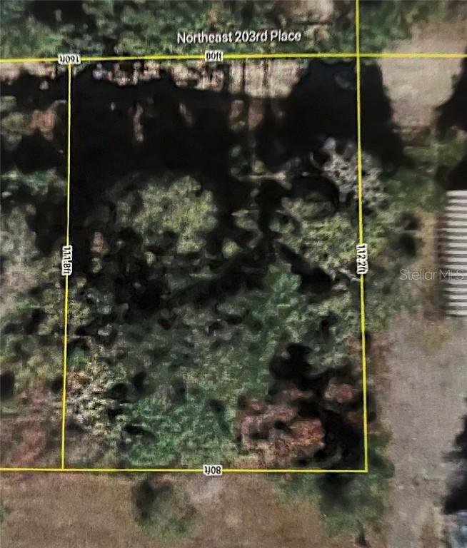 00 NE 203rd Pl., Fort Mc Coy, FL 32134