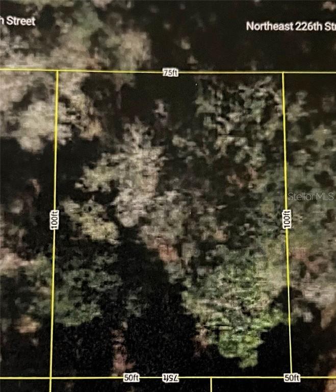 00 NE 226th St., Orange Springs, FL 32182