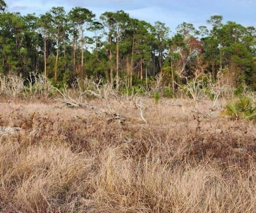 W Frostproof Rd. #Lot 17, Frostproof, FL 33843