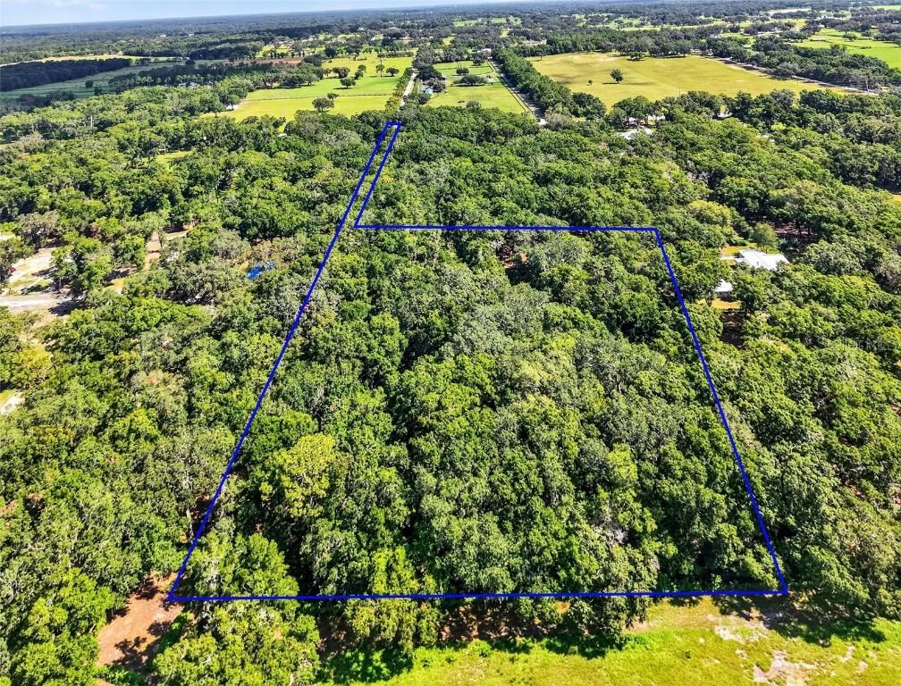 5538 SE Highway 42, Summerfield, FL 34491