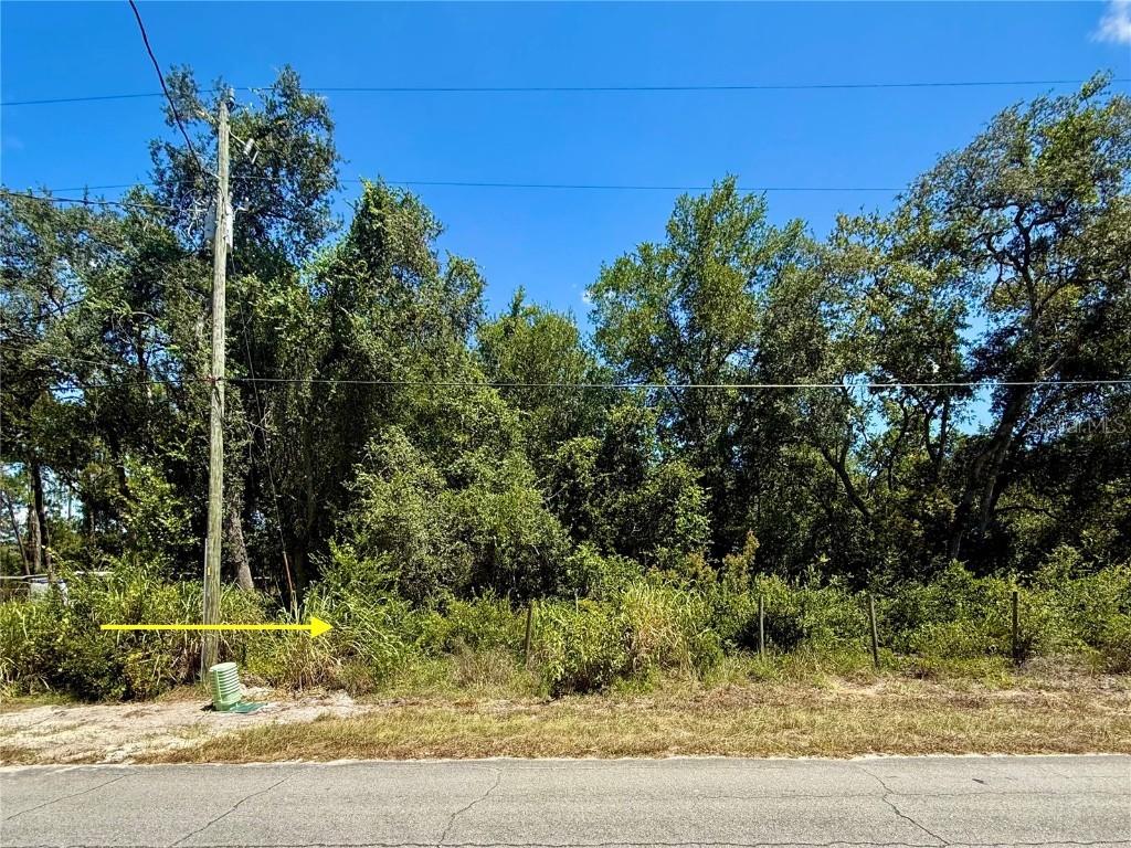 LOT 12 Lake Dr., Eustis, FL 32736