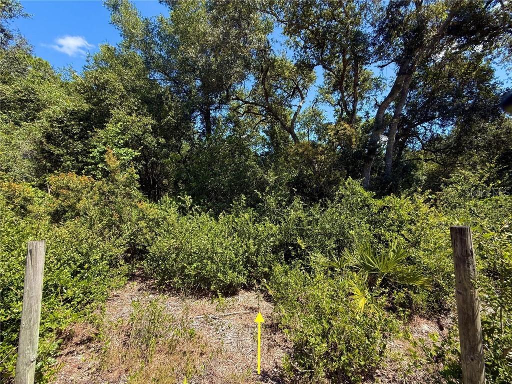 LOT 12 Lake Dr., Eustis, FL 32736