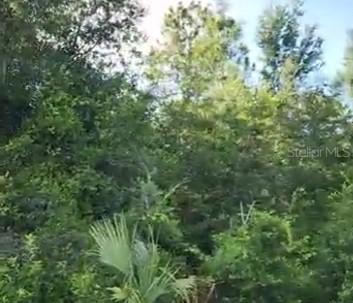 SE 97 Ave., Summerfield, FL 34491