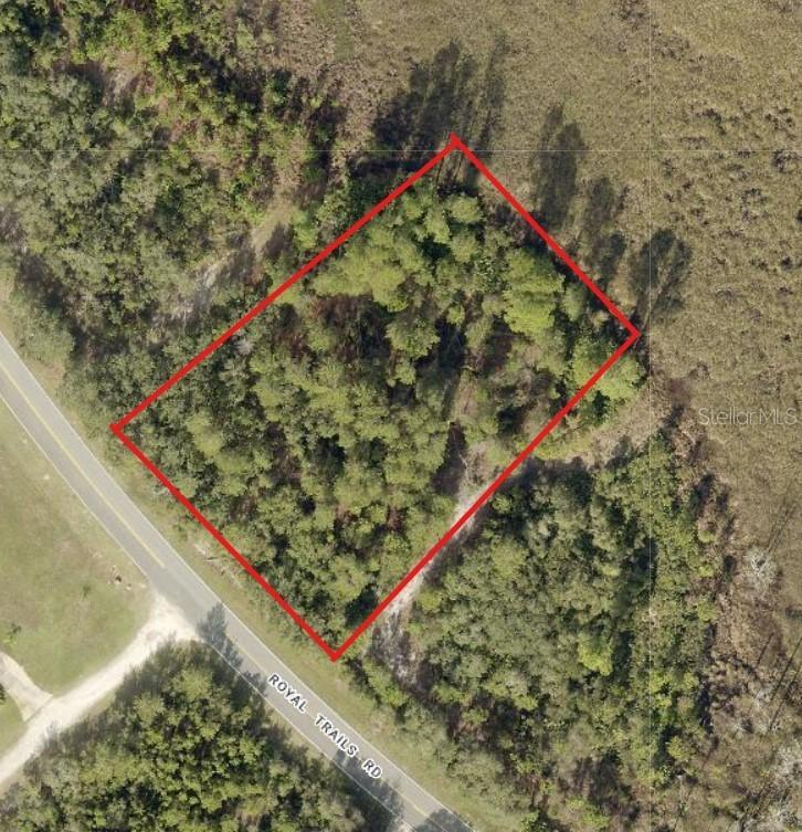 39600 Royal Trails Rd., Eustis, FL 32736