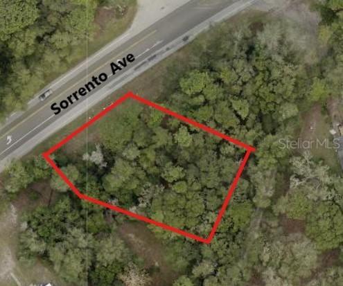 25904 Sorrento Ave, Mount Plymouth, FL 32776