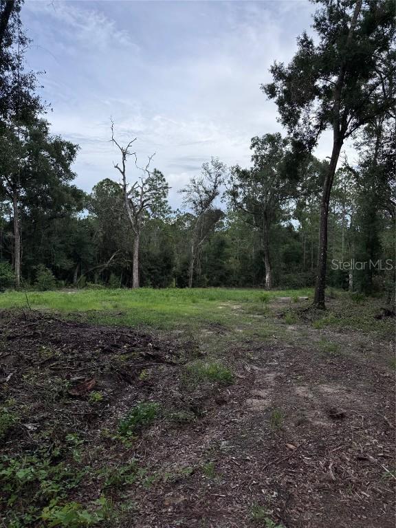 Octavia Ln., Webster, FL 33597