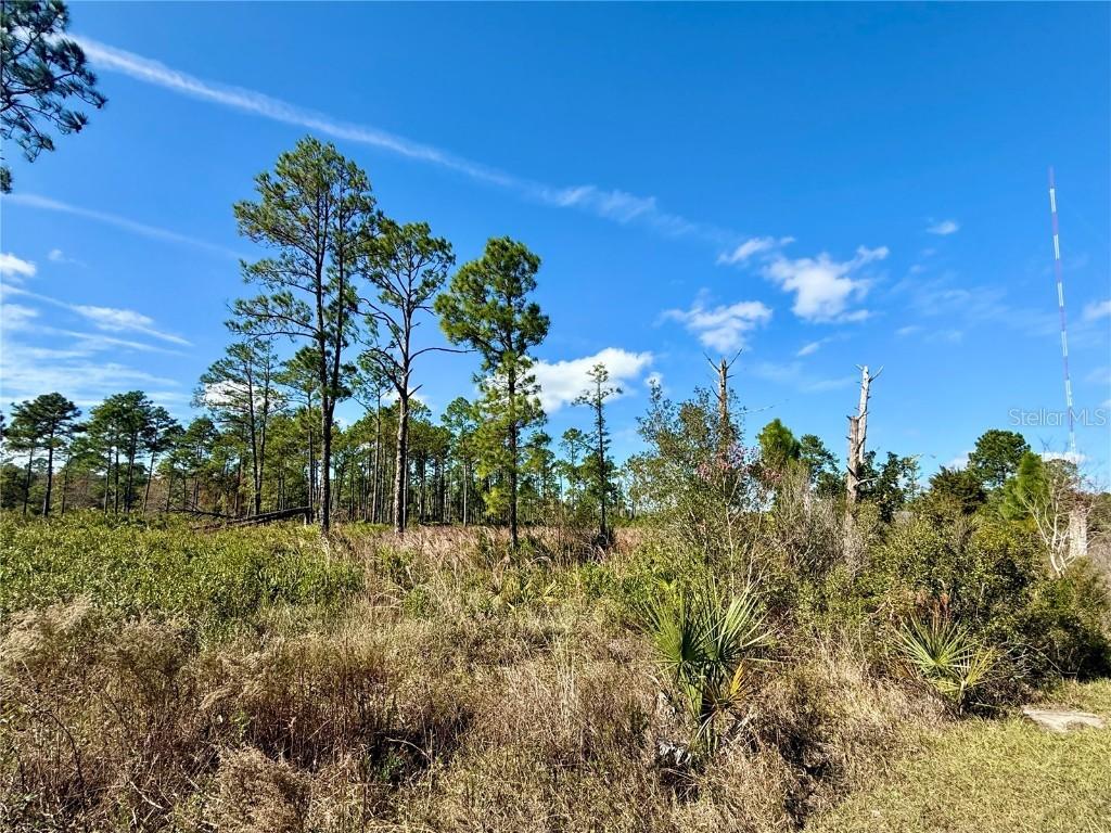 LOT 8 Honeysuckle St., Eustis, FL 32736