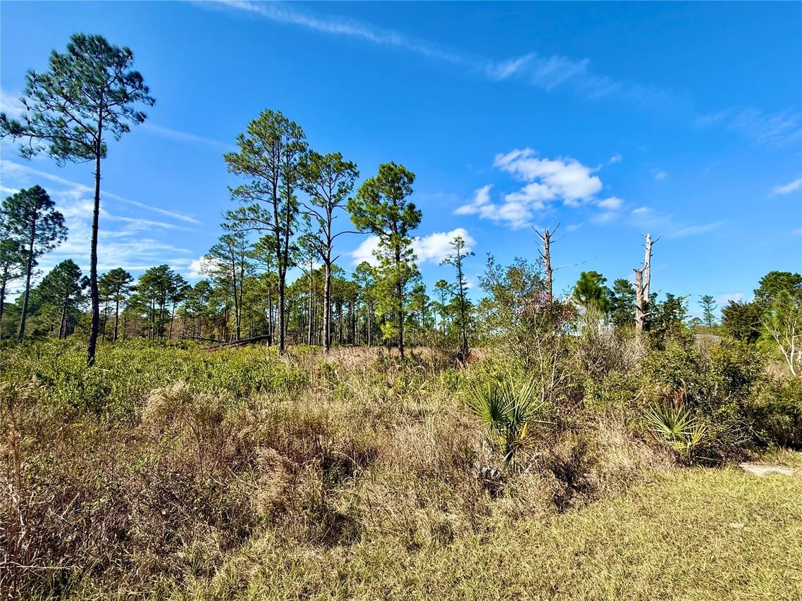 LOT 8 Honeysuckle St., Eustis, FL 32736