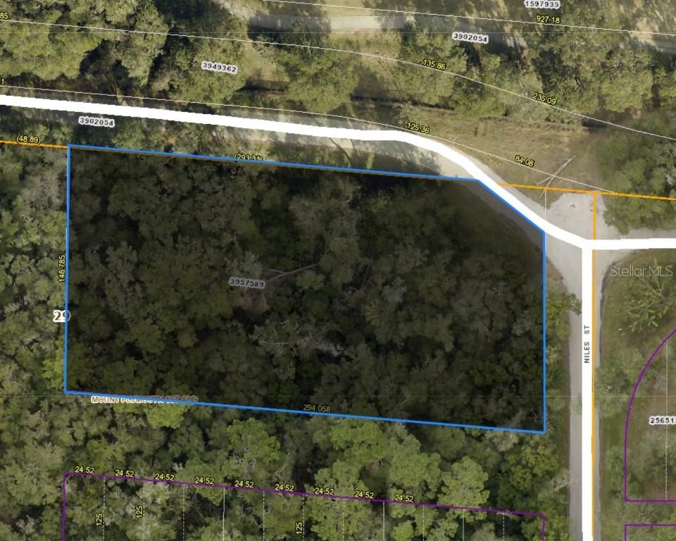 Niles St., Sorrento, FL 32776