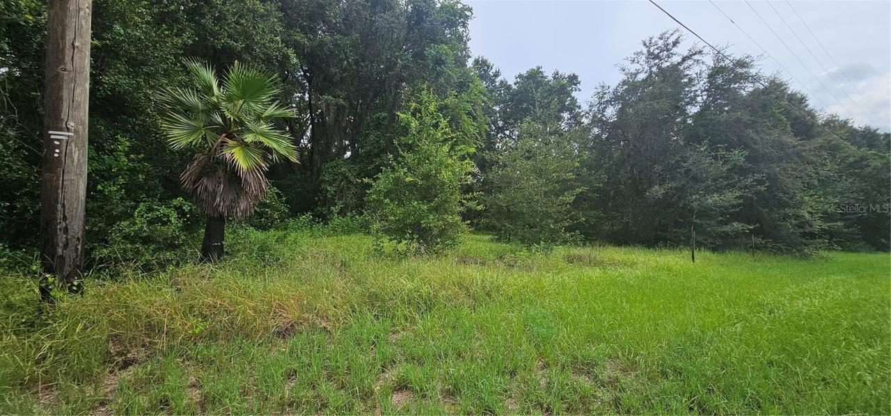 12023 Howey Cross Rd., Clermont, FL 34715