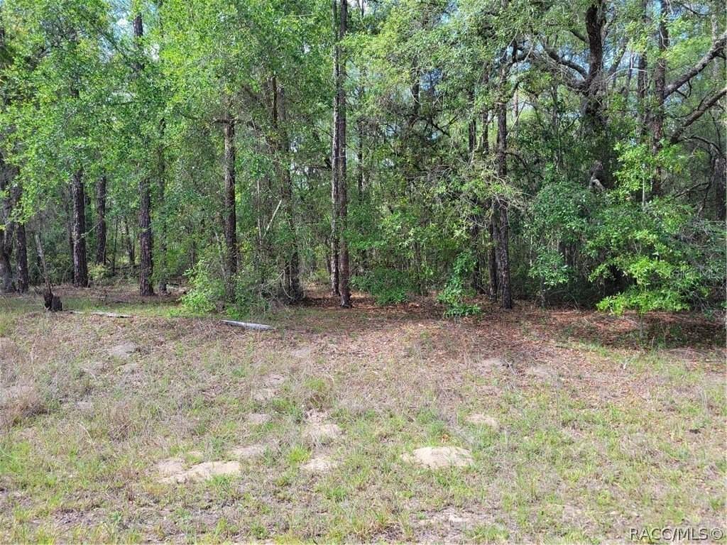 609 E Canturybury Ln., Citrus Springs, FL 34434