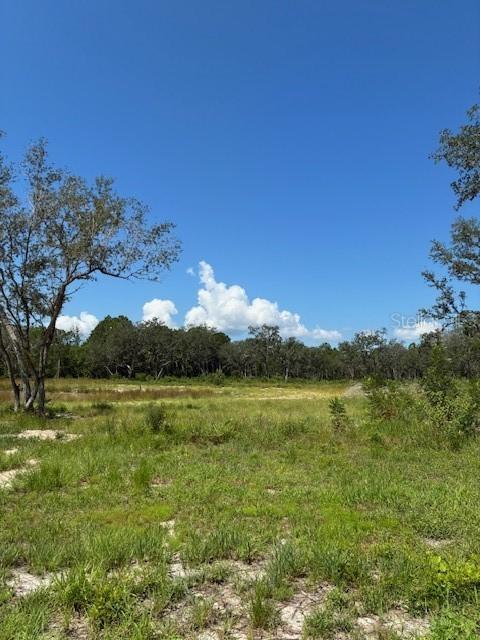 Lake Yale Rd., Umatilla, FL 32784